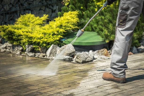 Best Gutter Cleaning  in Ferndale, CA