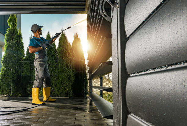 Best Soft Washing  in Ferndale, CA